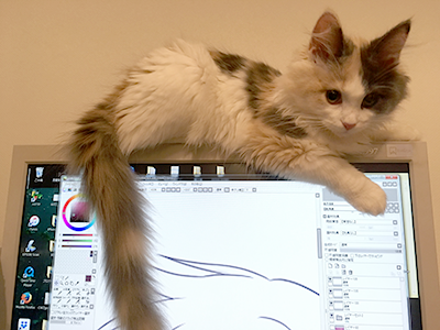 作業を見守る猫さま